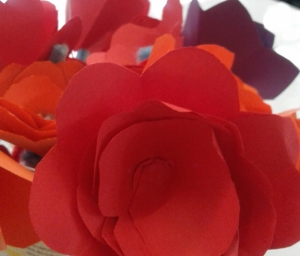 20170512_114534-2